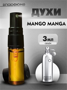 Масляные духи-спрей Montale Mango Manga (3 мл) МОНМАНГО_3_S - фото 39690